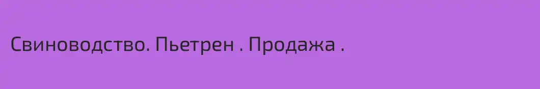 Свиноводство. Пьетрен . Продажа .